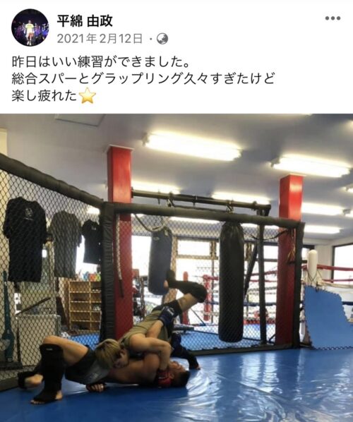 hirawatarensyu